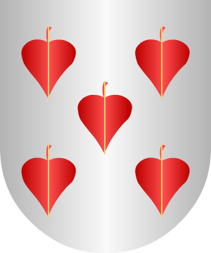 ESCUDO ALEATORIO